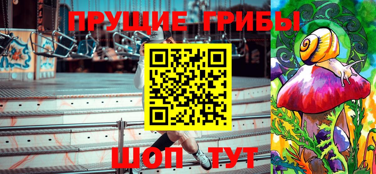 Псилоцибиновые грибы прущие грибы  Вход с VPN  Зерноград  Галлюциногенные грибы мицелий 